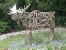 Moose Topiary