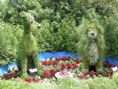 Lady and the Tramp Topiary