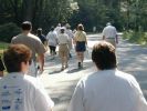 The Walkers